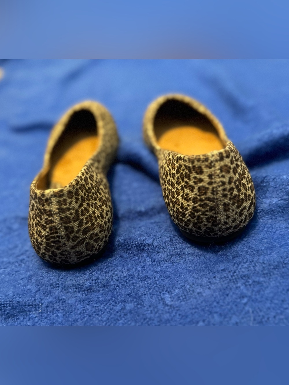 boc Leopard Print Ballet Flats in Brown and Cream - Picture 4 of 10